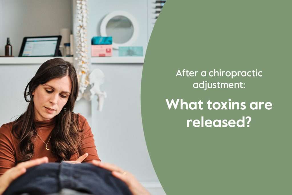 What toxins are released after a chiropractic adjustment? → Human