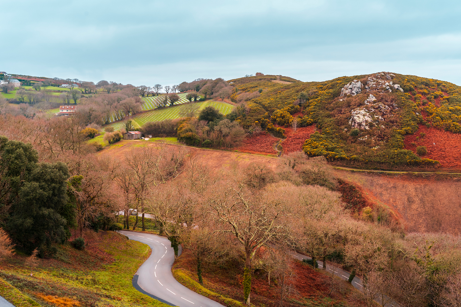 Supporting a Healthy Pregnancy and Birth with a Regulated Nervous System