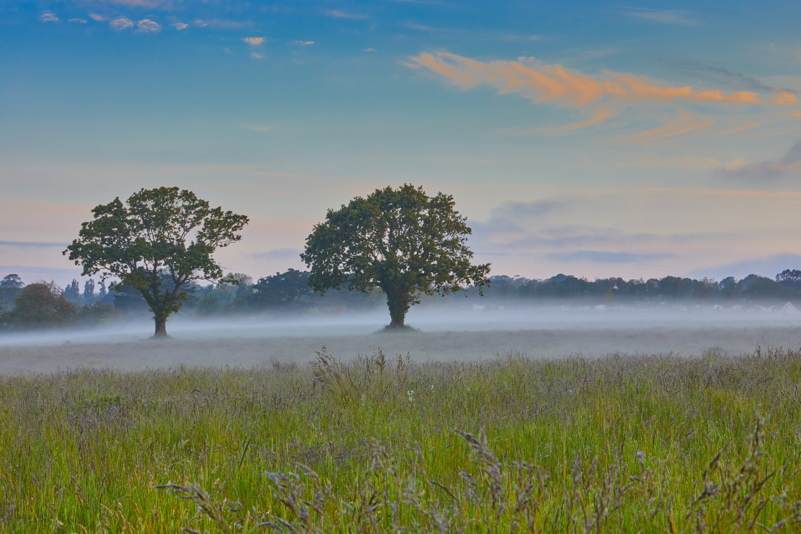 Your Baby’s First Months: Feeding, Comfort, and Early Development